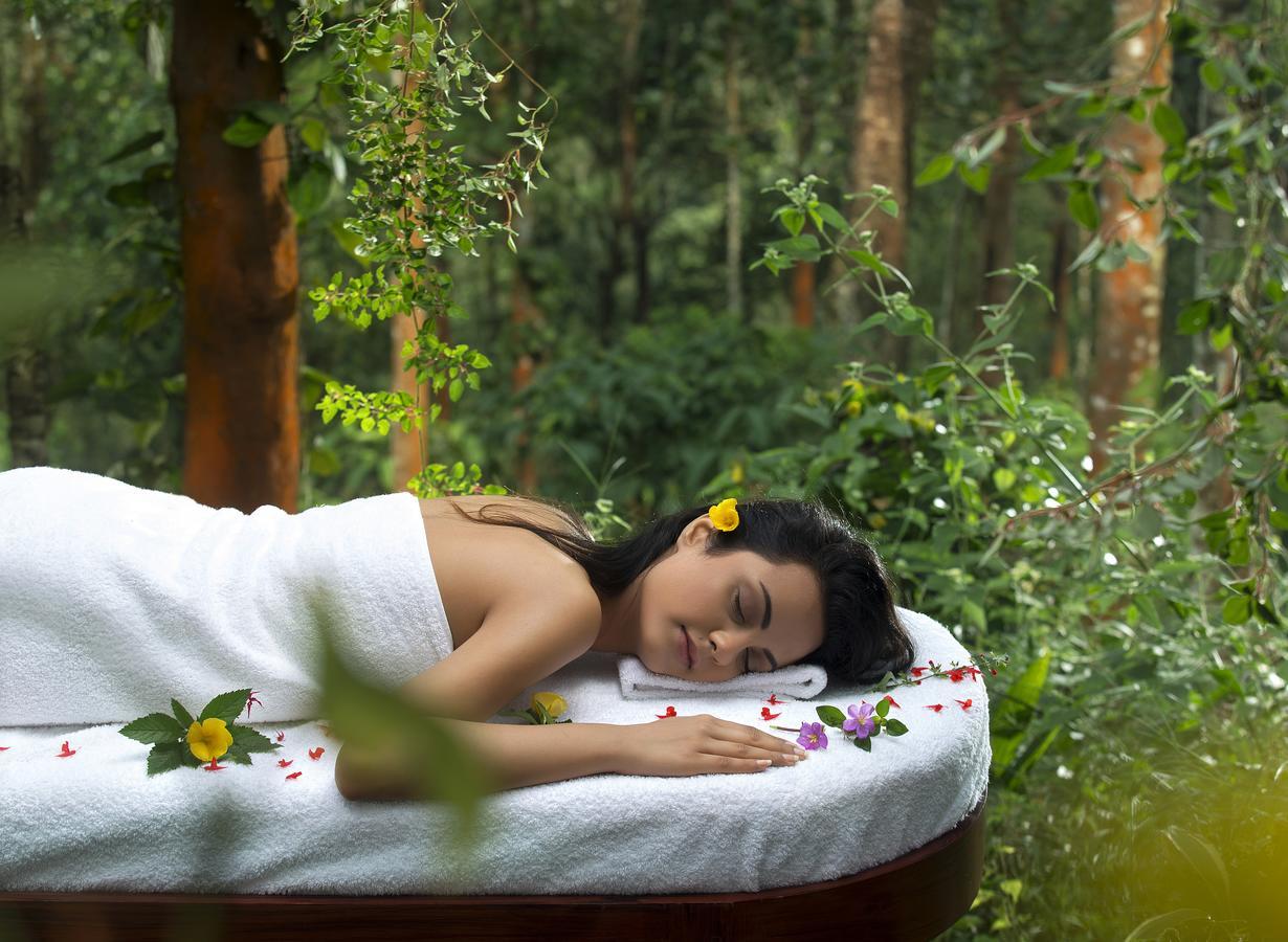 Meppādi Peter'S Coffee Creek Nature Resort מראה חיצוני תמונה